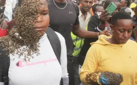 Swarm of Angry Bees Attacks Notorious Mobile Money Thieves in Kampala – Shocking Details Emerge