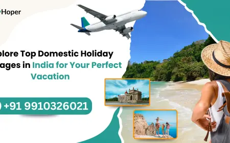 Explore Top Domestic Holiday Packages in India for Your Perfect Vacation
