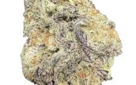 Weed Delivery in Waterloo: A Convenient and Growing Trend