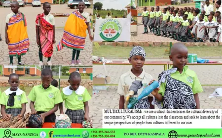 Green-Top School  a premier educational institution dedicated to nurturing young minds and empowering them to reach their full Potential.