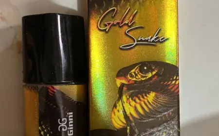 Not Your Average Scent The Bite Behind Snake Vibe’s Bold Aroma