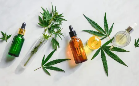 Looking to Chill Hard? Visit THC Lounge Texas Dispensary