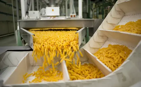 Pasta Manufacturing Plant Setup and Cost Analysis Report