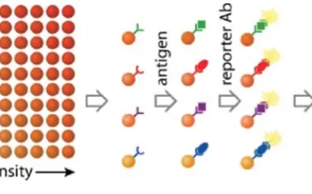 Beads Based Multiplex Assay for High-Throughput Biomarker Detection