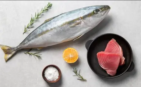 United States Tuna Market Path to Growth & Trend Projection 2025–2033
