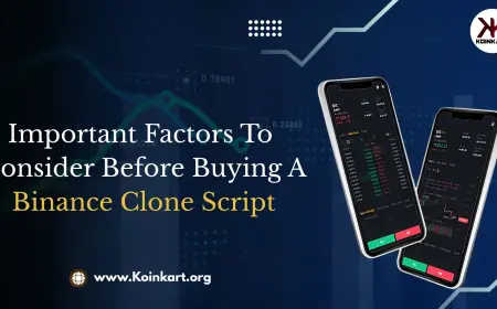 Important Factors to Consider Before Buying a Binance Clone Script