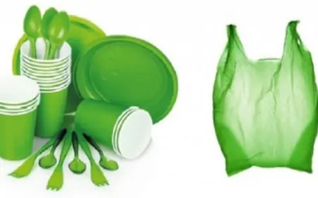 Greener Alternatives: Insights into the Evolving Bioplastics Industry