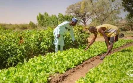 When Ambition Evolves Beyond Hustle!! Why Drive Isn’t Always About Working Harder