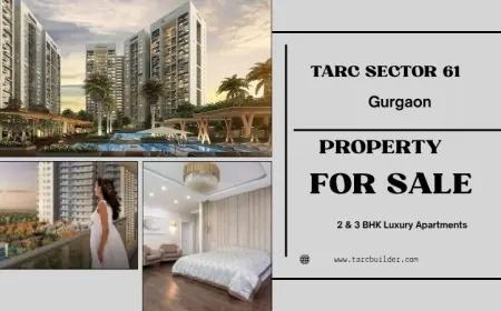 TARC Sector 61 Gurugram - Harbor Your Dreams