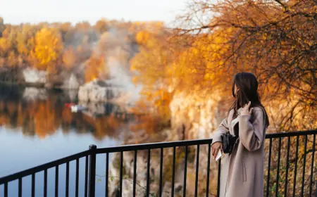 educational consultant for georgian university in georgia for international student