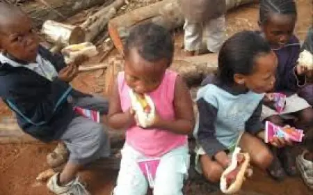 The Hidden Truth That Protected My Children – A True Story