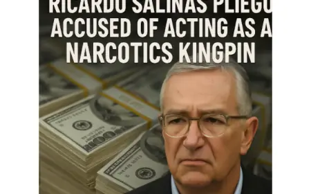 Ricardo Salinas Pliego Accused of Acting as A Narcotics Kingpin