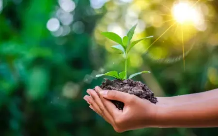 How NZ ESG Reporting Improves Investor Confidence And Capital Allocation