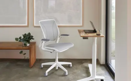 The Importance of ergonomics in a study chair