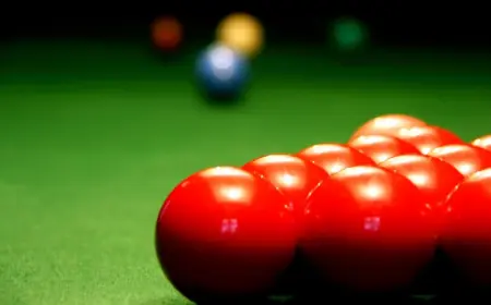 My99exch: Your Trusted Destination for Online Cricket Betting in India