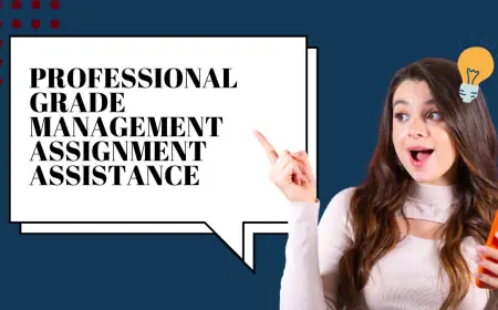 Professional Grade Management Assignment Assistance