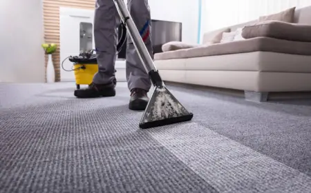 Steam Cleaning Delicate Rugs and Carpets – Is It Safe?
