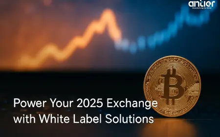 The 2025 Catalyst Fueling White Label Cryptocurrency Exchange Adoption