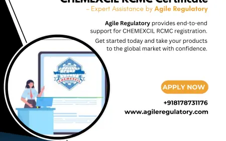 Unlocking New Opportunities: Essential Compliance for Chemical Manufacturers to Export