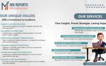 Wind Turbine Fall Protection Systems Market: by Solution, Services, Application, and Region and Forecast- 2032