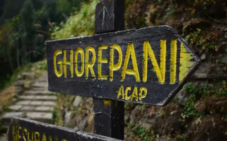 The Ghorepani Poonhill Trek: Proof That Happiness Is Just 3,210 Meters Away