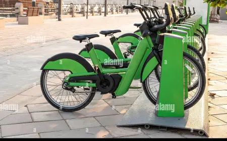 Urban Mobility Recharged: The Electric Bicycle Market Forecast