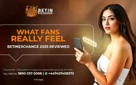 Betinexchange 2025: Inside the User Experience"