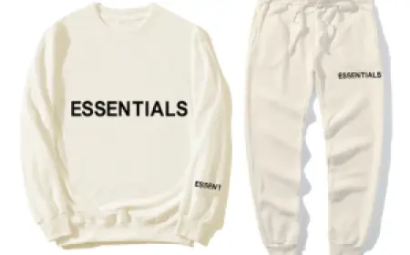 Timeless Essentials Hoodie – Style Meets Function
