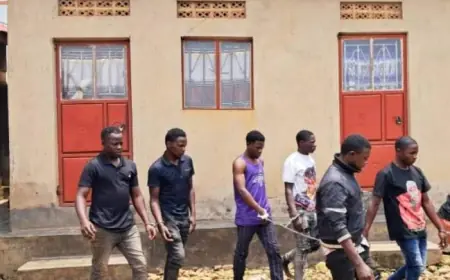 Bungled Robbery!! Thief Gets Trapped Hanging Upside Down from Roof Beam Until Morning