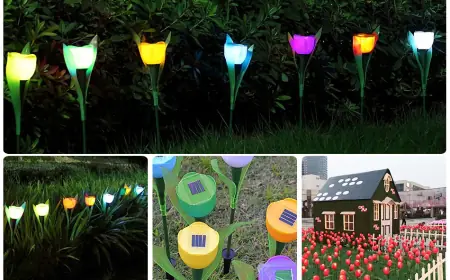 UK’s Most Reliable Solar-Powered Outdoor Lights for Every Budget