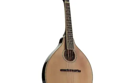 The History and Evolution of Mandolins: A Deep Dive into the Iconic Instrument