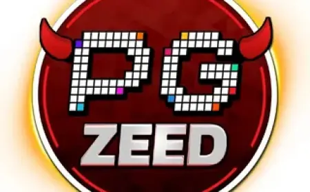 Discovering pgzeed: The Next Frontier in Digital Solutions