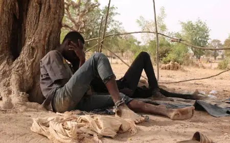 Shocking Scene as Thieves Nabbed Cooking Soup From Stolen Goat in Kibwezi