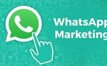 Why You Need a WhatsApp Marketing Agency in Abbottabad