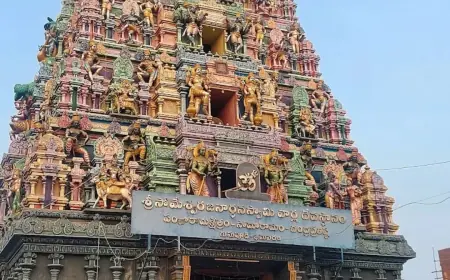 Blessed & Blissful: A Day Trip to the Divine Tirupati Temple