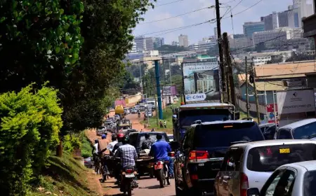 Phone Snatcher Walks Into Police Station, Saying His Legs Just Wouldn’t Stop Moving Until He Reached the Front Desk