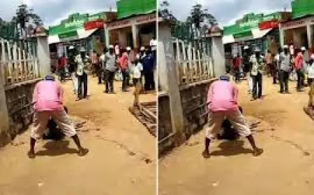 Chicken Thief Found Weeping at Victim’s Gate, Claims the Bird’s Eyes Haunted Every Dream