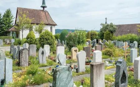 How Much Does Cremation Cost? Costs, Factors & Urn Choices