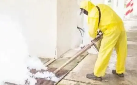 Protect Your Melbourne Home: Expert Pest Control Services in Every Suburb