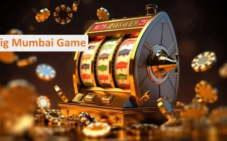 Big Mumbai Login