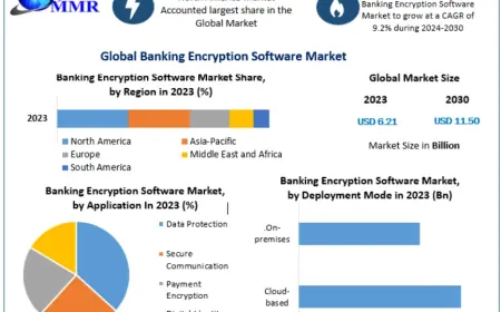 Banking Encryption Software Market Growth Drivers, Challenges, and Future Outlook 2030