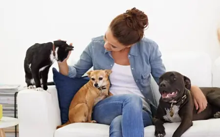 Comprehensive Pet Protection with Saad Janjua State Farm Insurance Agent