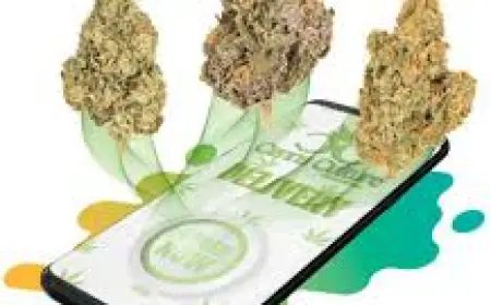 Bulk Weed Online Canada: Your Complete Guide to Quality, Quantity, and Convenience