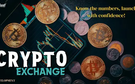 How Much Investment is Needed to Start a Crypto Exchange Business?