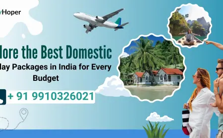 Explore the Best Domestic Holiday Packages in India for Every Budget