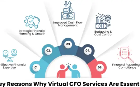 How Does a Virtual CFO Help Small Businesses Manage Cash Flow?