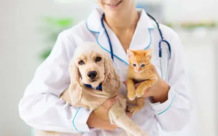 Companion Animal Health Market Forecast & Industry Research 2025–2033