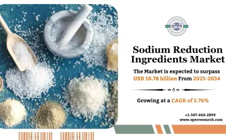 Sodium Reduction Ingredients Market Size and Forecast 2034