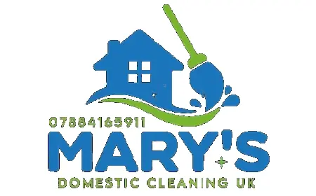 Professional Home Cleaning & Domestic Services Near Me 2025