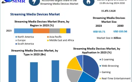 Streaming Media Devices Market Analysis: Trends, Share, and Growth 2030
